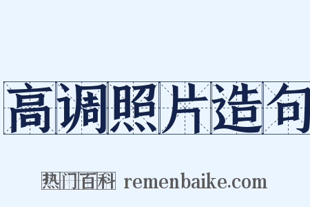 高调照片造句是什么意思的图片